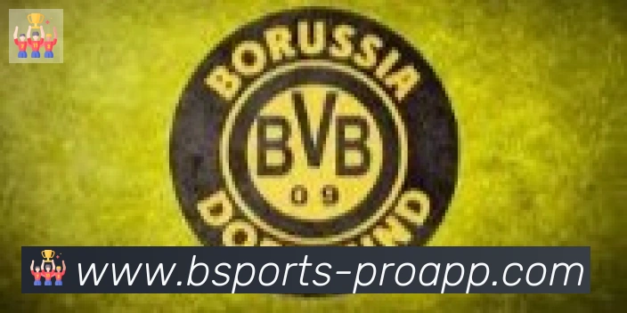 bsports体育合作伙伴