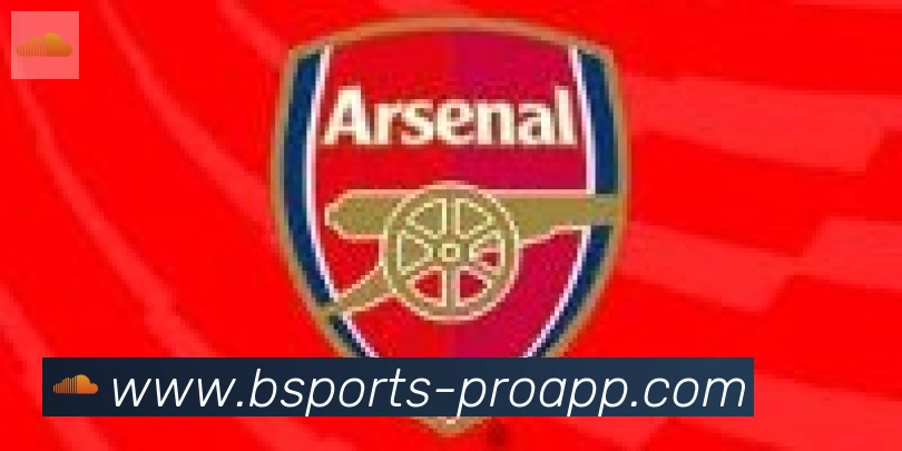 bsports体育合作伙伴